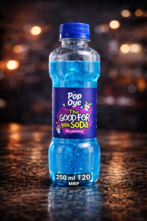 Blueberry (Pack of 24)