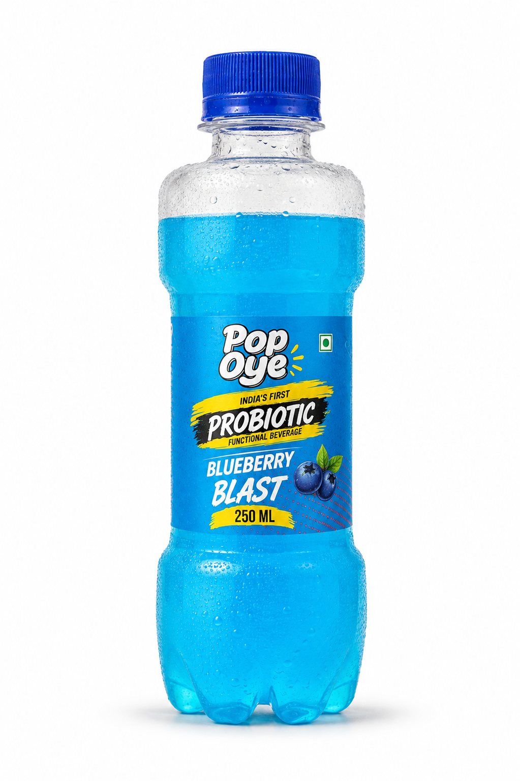 Blueberry Blast (Pack of 24)